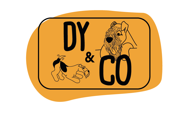 DY&CO