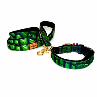 collier laisse