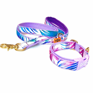 ensemble collier laisse